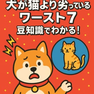 犬が猫より劣っているワースト7【意外な豆知識】