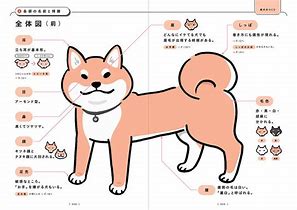 【犬の体のしくみ完全ガイド】体のパーツとその役割を知れば、もっと健康管理がうまくなる！