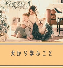 人間が犬から教わることベスト5｜ワンちゃんの生き方に学ぶ幸せのヒント